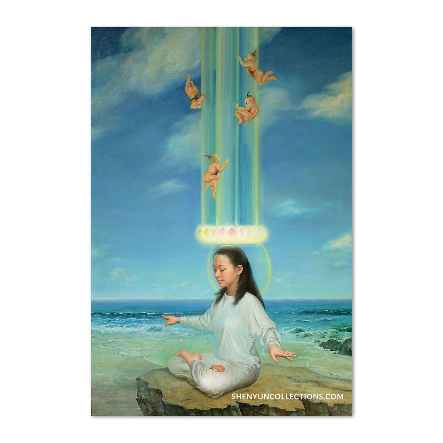 In Harmony | Shen Yun Collections